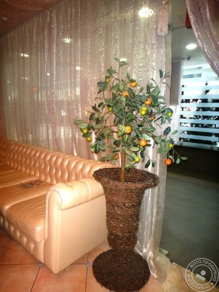 Салон красоты Global Spa - фото 6