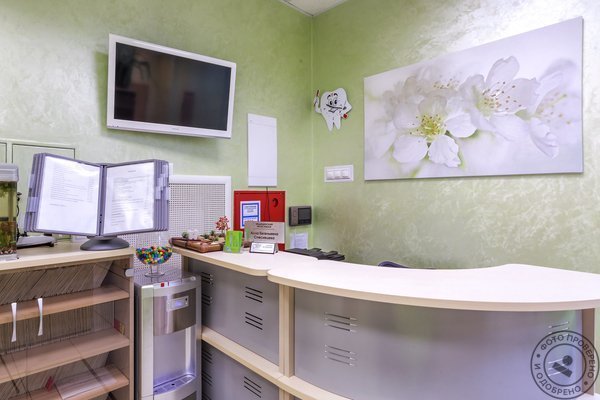 Стоматология 