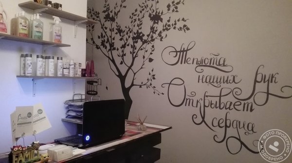 Студия Aves-Spa - фото 1