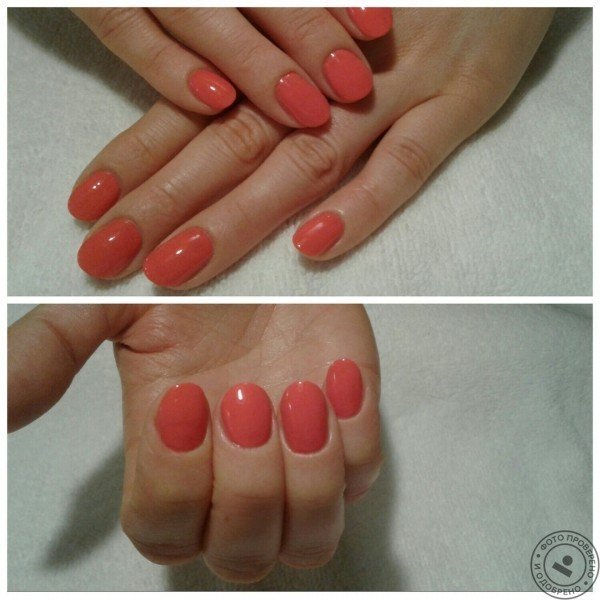 Студия красоты «Шок и Трепет» - фото 5