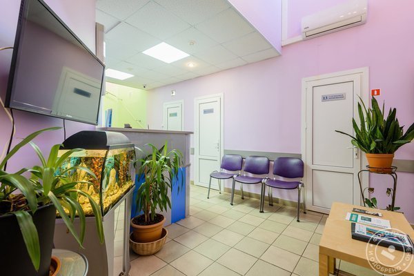 Медицинский центр Диона на улице Коллонтай - фото 2