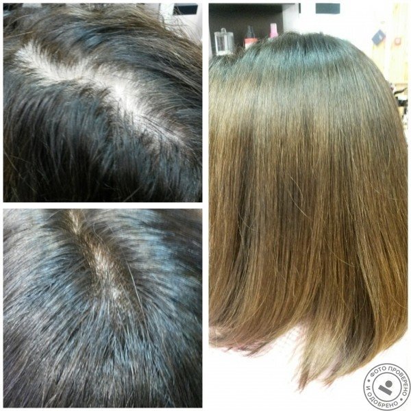 Студия Лены Васильевой - фото 10