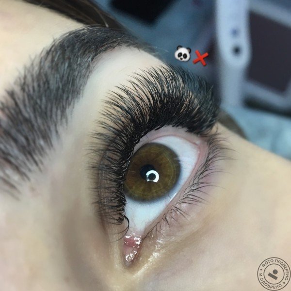 Школа-студия моделирования взгляда «Панды Net» - фото 1