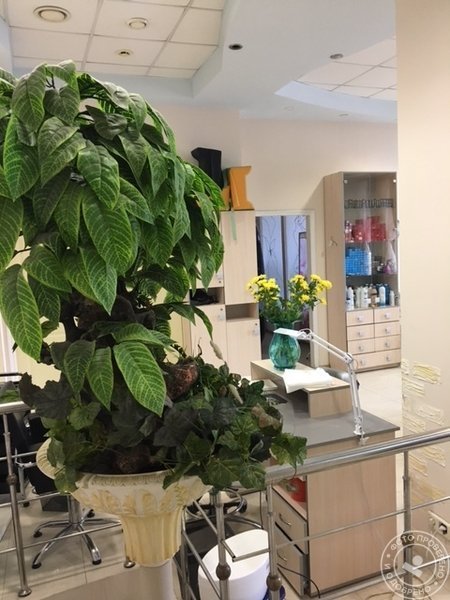 Салон крастоты «Лада» на Дубровке - фото 10