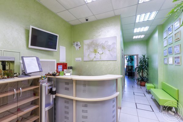 Стоматология 