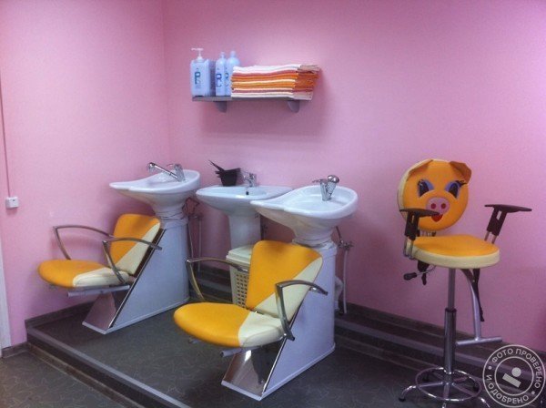 Модус - фото 1