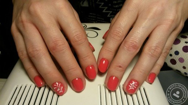 Мастерская красоты «Стрекоза» - фото 1