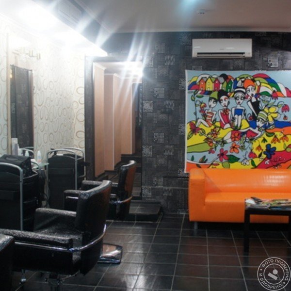 Crassula - фото 1