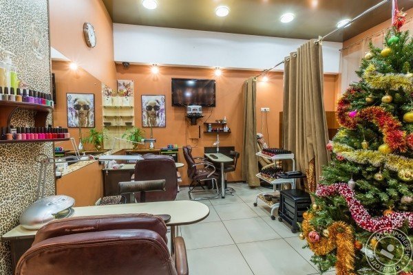 Ягуар - фото 10