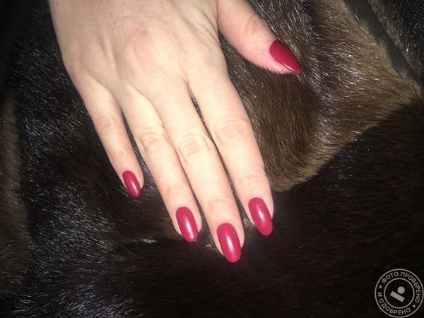 Студия маникюра ProNails Studio - фото 7