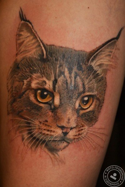 Салон красоты «Мокко» - фото 8