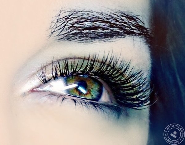 Studios-Beauty - фото 9