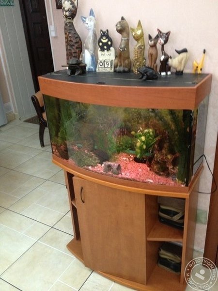 Салон красоты «Небесные ласточки» - фото 8