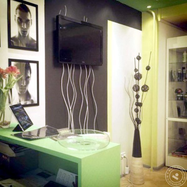 Мята - фото 1