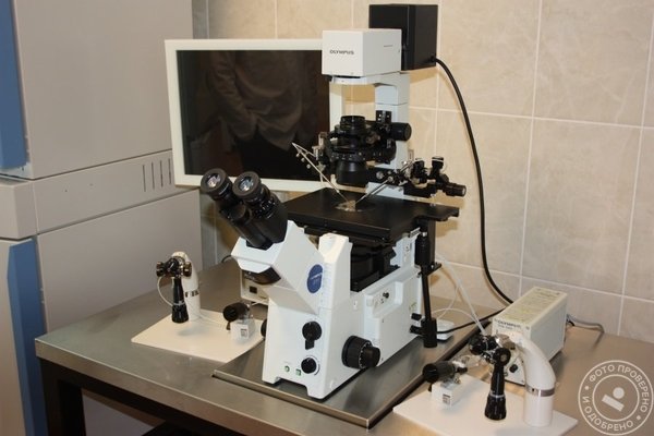 Многопрофильная медицинская клиника «Кармента» - фото 5