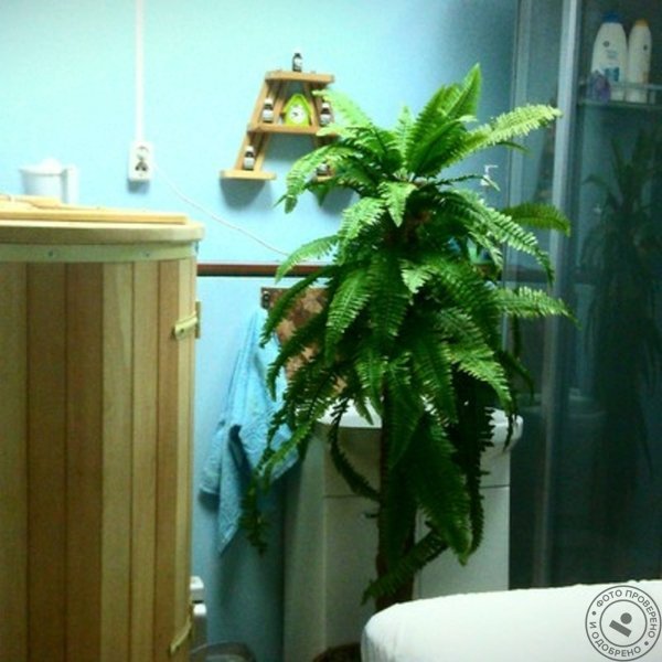 Салон на Волгоградке - фото 1