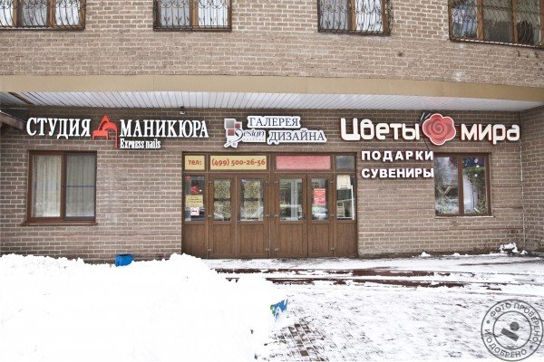 Студия маникюра Express Nails на Удальцова - фото 8