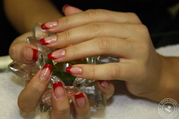 Эксперт - фото 10