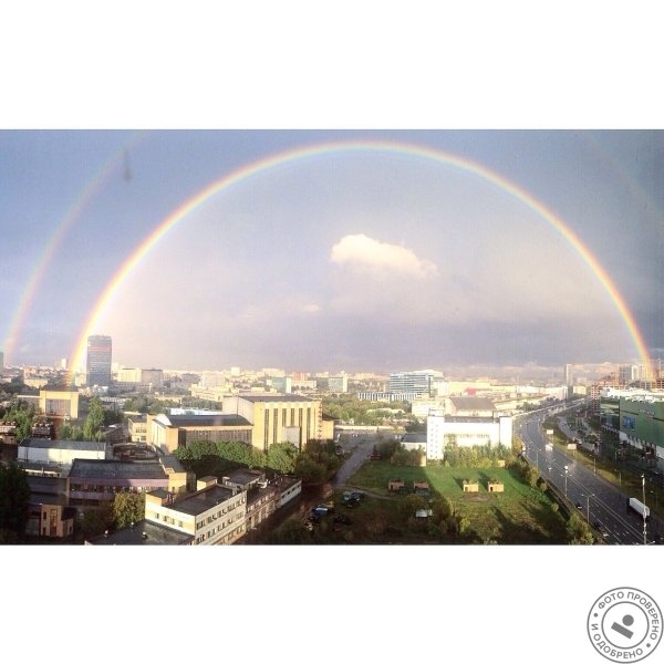 Тестовая Организация Красота - фото 1