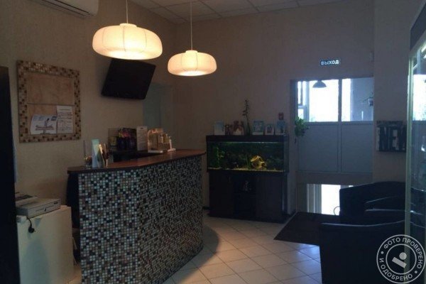 Стефаника - фото 1