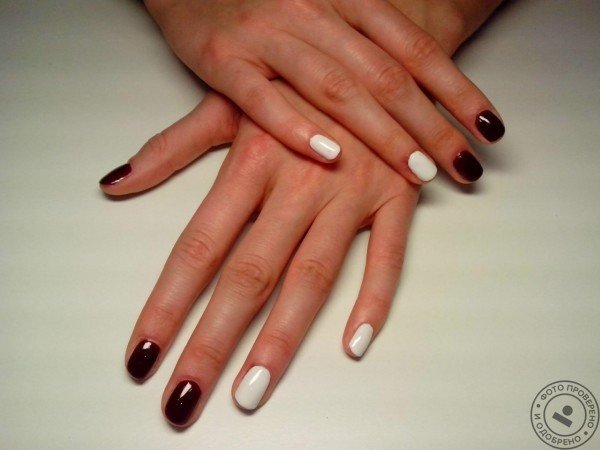 Студия красоты «Шок и Трепет» - фото 7