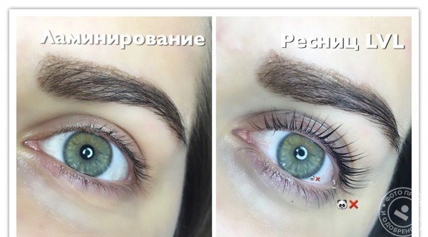 Школа-студия моделирования взгляда «Панды Net» - фото 2