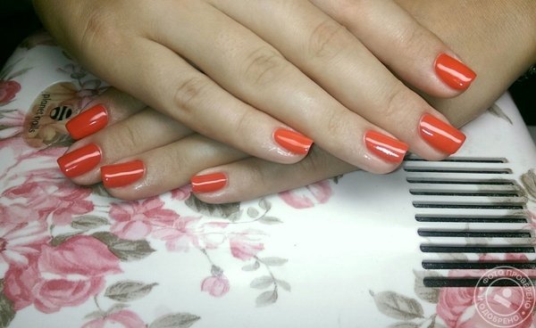 Салон красоты «Грация» на Зелёном проспекте - фото 1